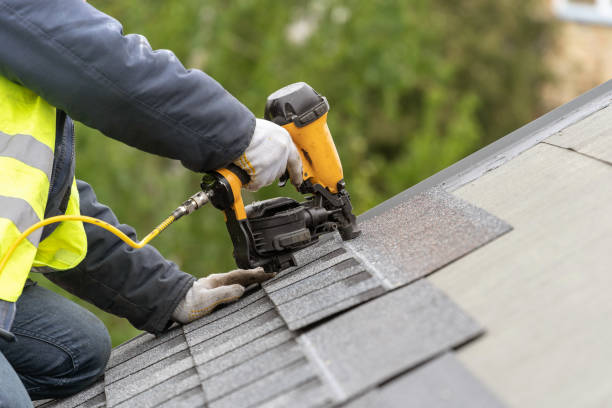 Best Chimney Flashing Repair  in Dagsboro, DE