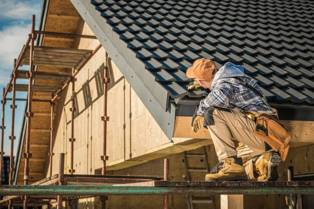Best Rubber Roofing (EPDM, TPO)  in Dagsboro, DE